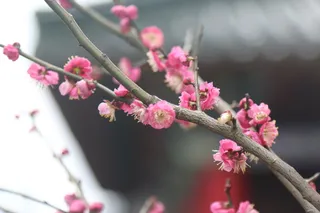 风景|摄影|高清|原创|山水