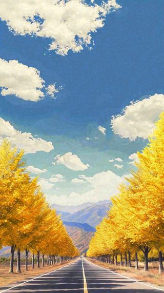 秋天蓝天白云下唯美公路旁的黄叶树木，秋分处暑摄影图