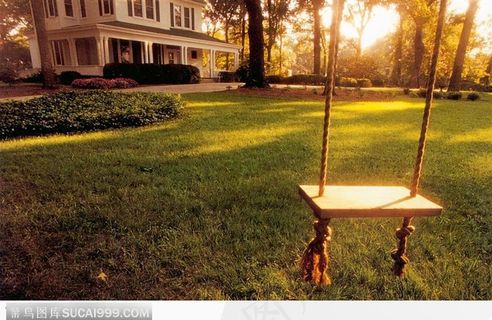 草坪上的秋千