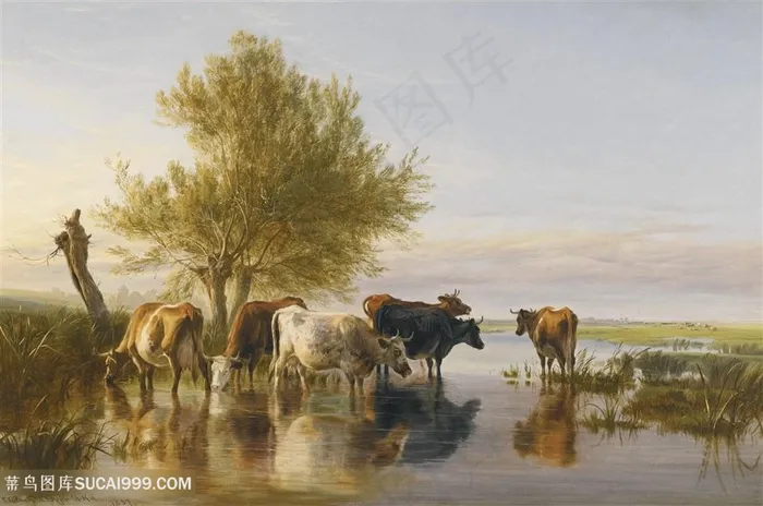 河里的牛群风景油画图片