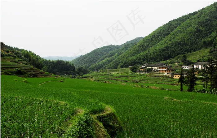 山间农村图片