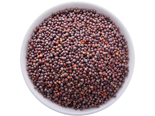 9黑芥子超市商品白底图免抠实物摄影png格式图片透明底