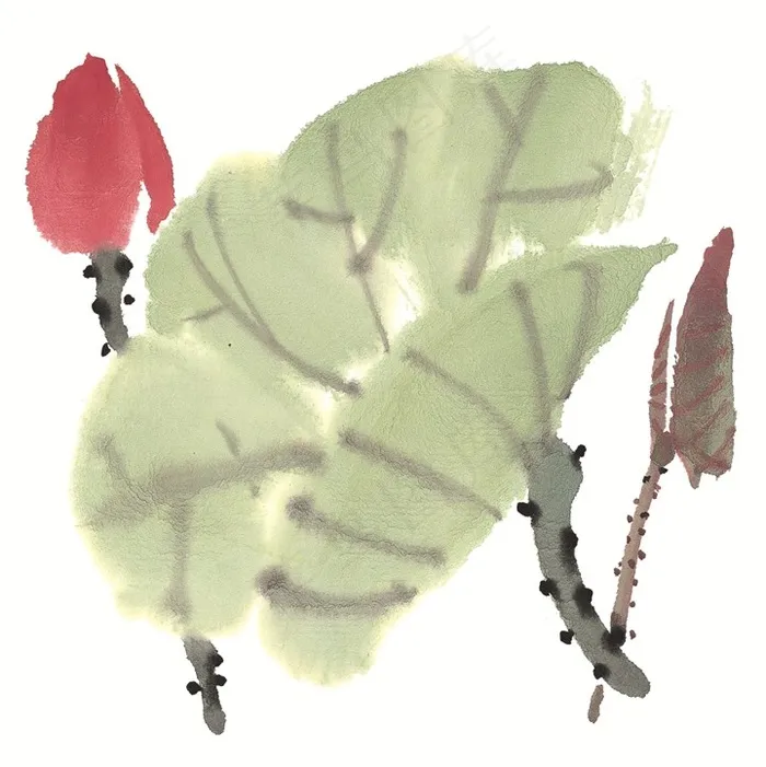 花卉高清图片素材