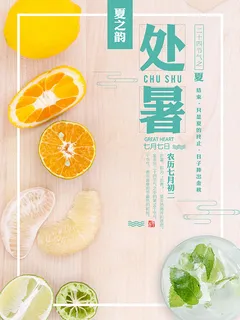 二十四节气处暑国风海报