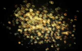 浪漫风光影烟花特效效果图免扣PNG背景图片摄影素材 (1)