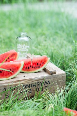 夏日西瓜素材