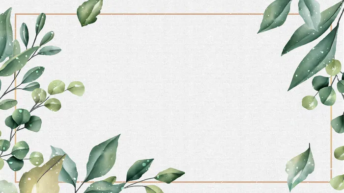 简约唯美绿叶图框图片