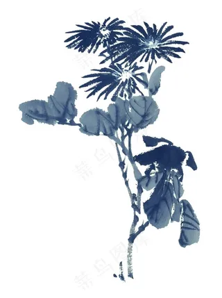 国画水墨菊花素材图片