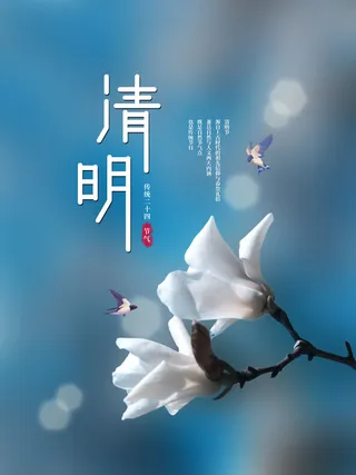 清明节花鸟节气海报