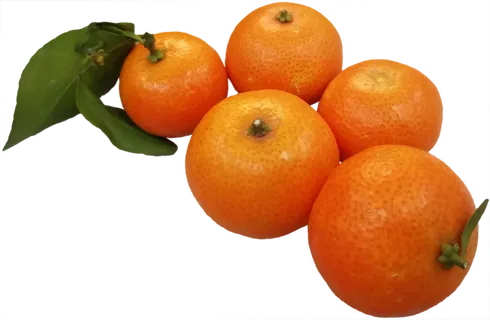 砂糖橘小橘子免抠元素 