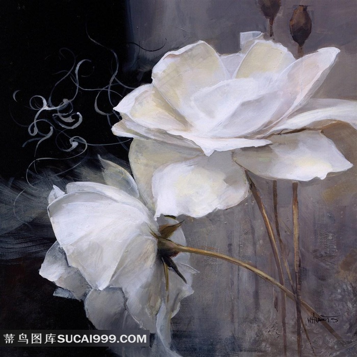 梦幻白色花朵装饰画