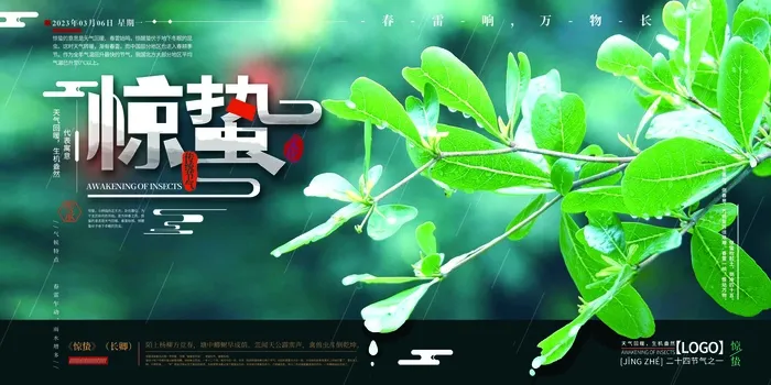 蓝绿清新二十四节气惊蛰展板