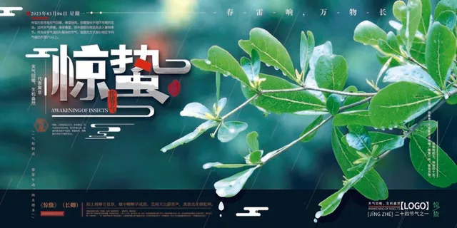 蓝绿清新二十四节气惊蛰展板