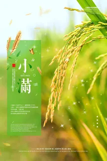 小满 小满营销海报