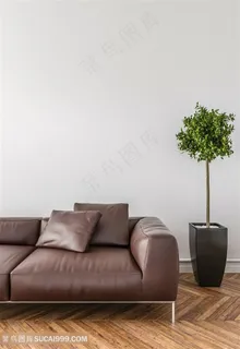 棕色皮质沙发高清图片 棕色皮质沙发高清图片