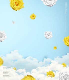 韩式花卉节日背景 韩式花卉节日背景