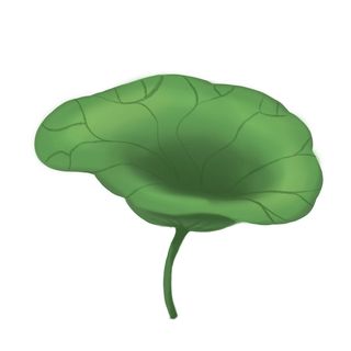 国潮中国风手绘荷花莲花荷叶莲藕植物花卉装饰插画PSD设计素材