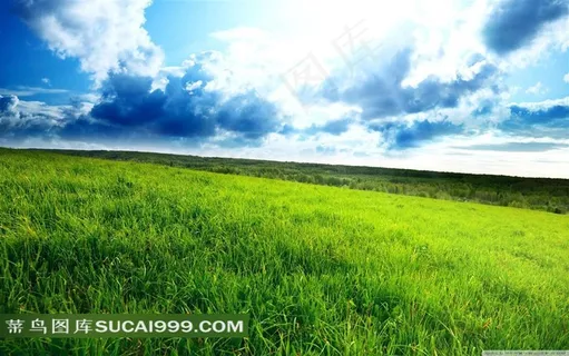 草地风光自然风景图片
