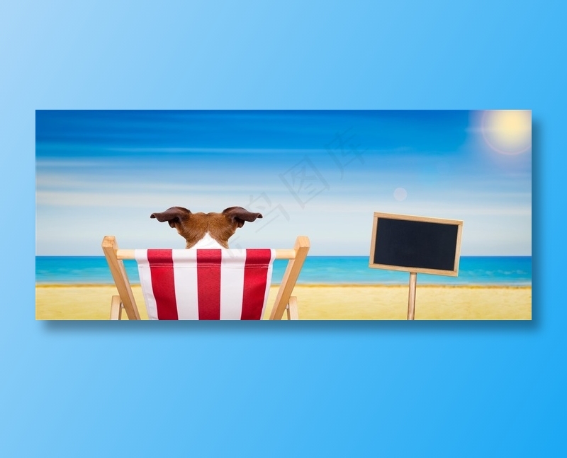 面朝大海度假狗狗图片
