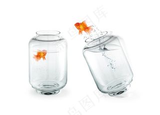 鱼缸的鱼素材图片