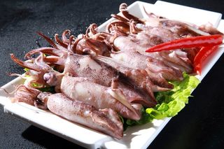 火锅菜品配菜鱿鱼鲜鱿鱿鱼仔小墨鱼