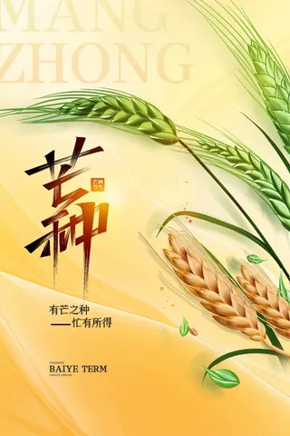 芒种 芒种海报图片