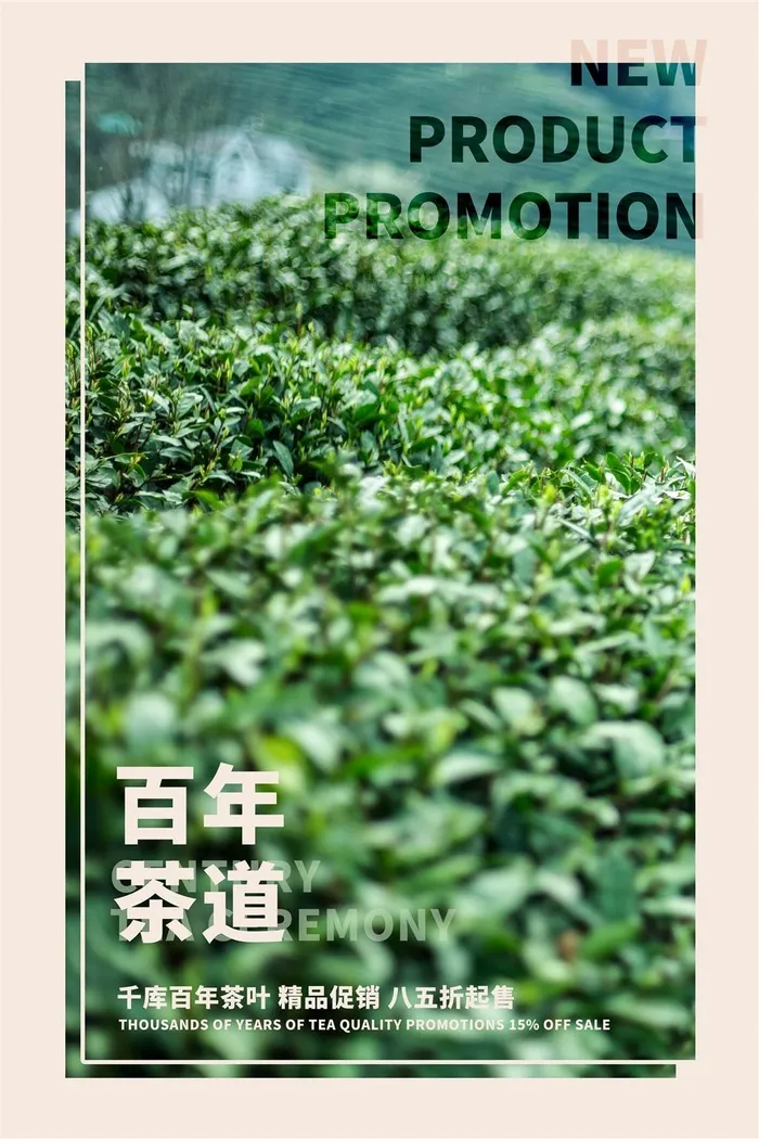 饮品简约绿色茶叶茶海报