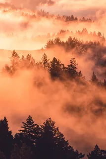 国内外优秀摄影作品展示自然风景篇-2440061