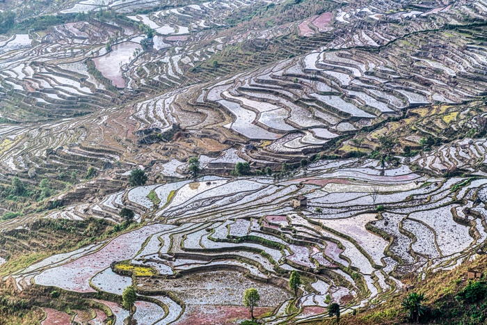 红河撒马坝梯田