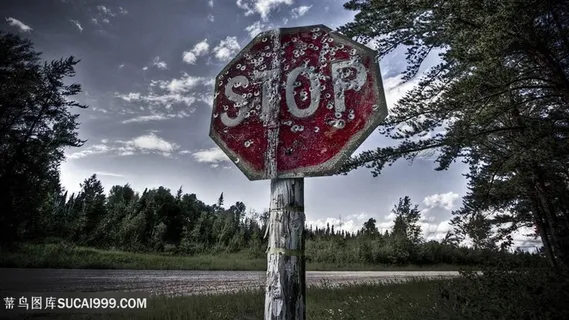 停草地树林美景壁纸