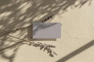 文艺光影单张名片样机