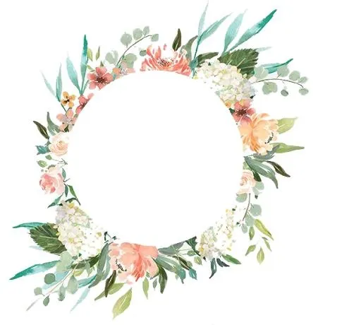 花框 PNG免抠(630x567)