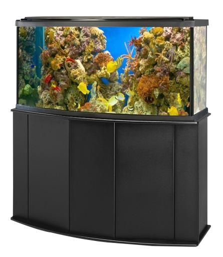 水族馆 PNG免抠