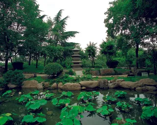 高清公园风景图片下载