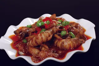 CXC06919珍菌笔筒鱼