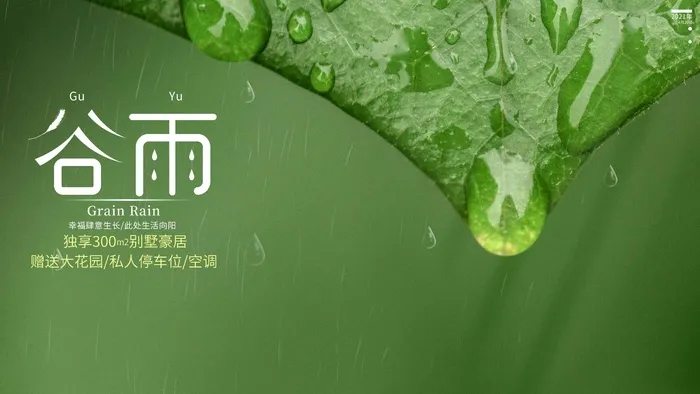谷雨 谷雨宣传海报psd模版下载
