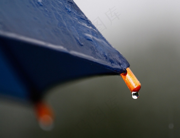 雨, 雨伞, 滴, 湿的, 天气, 落下