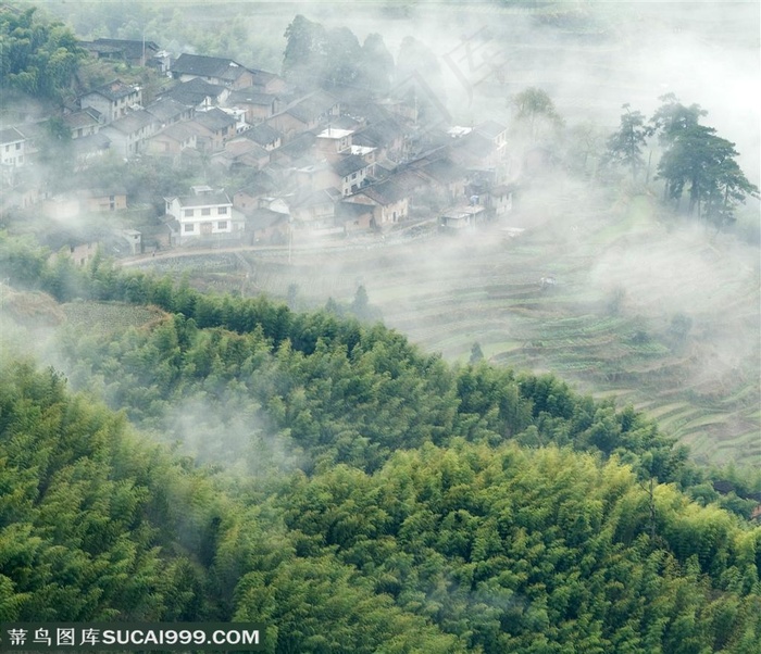 竹林风景- 俯视竹林小山丘和梯田上的小村庄