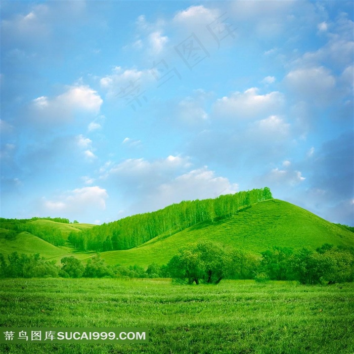 高清绿色草地草原天空图片下载