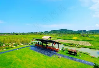 三亚水稻公园