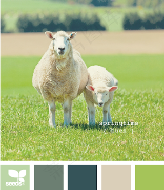 动物配色色卡色彩搭配