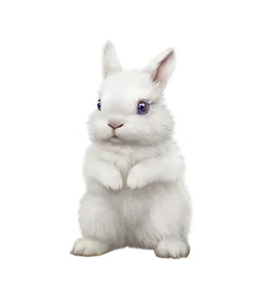 兔年白兔兔子