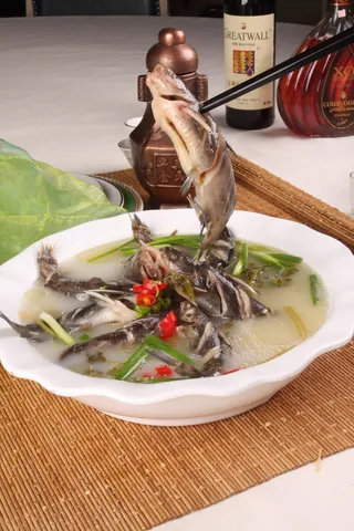 CXC01280汉江小鱼