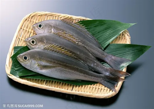 日常鱼类海鲜新鲜美食图片