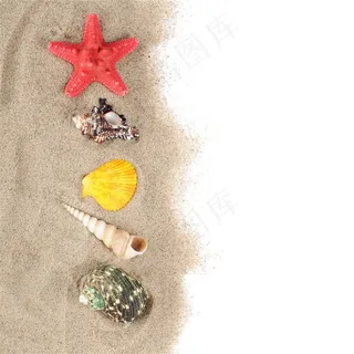 沙滩上的贝壳海星素材 沙滩上的贝壳海星素材