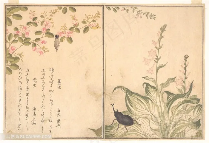 喜多川歌磨手绘花卉花枝中式装饰画
