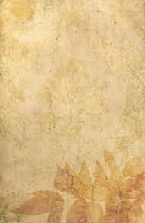 古代卷纸图片下载