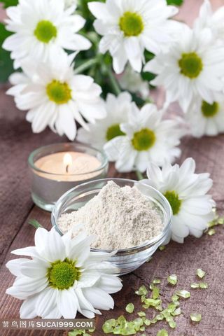 小清新雏菊图片