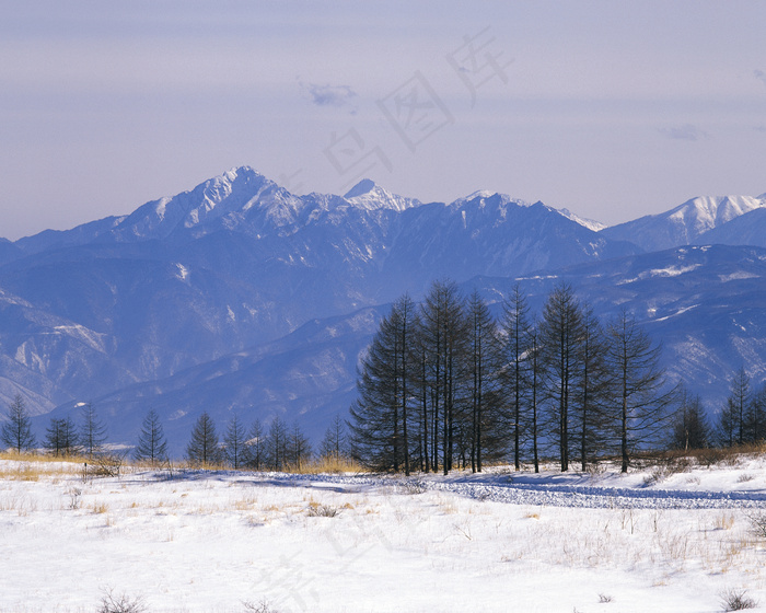 日本雪景图片