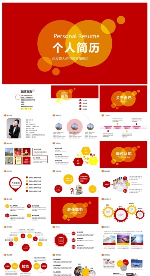 简历求职竞聘精美ppt模板 预览图